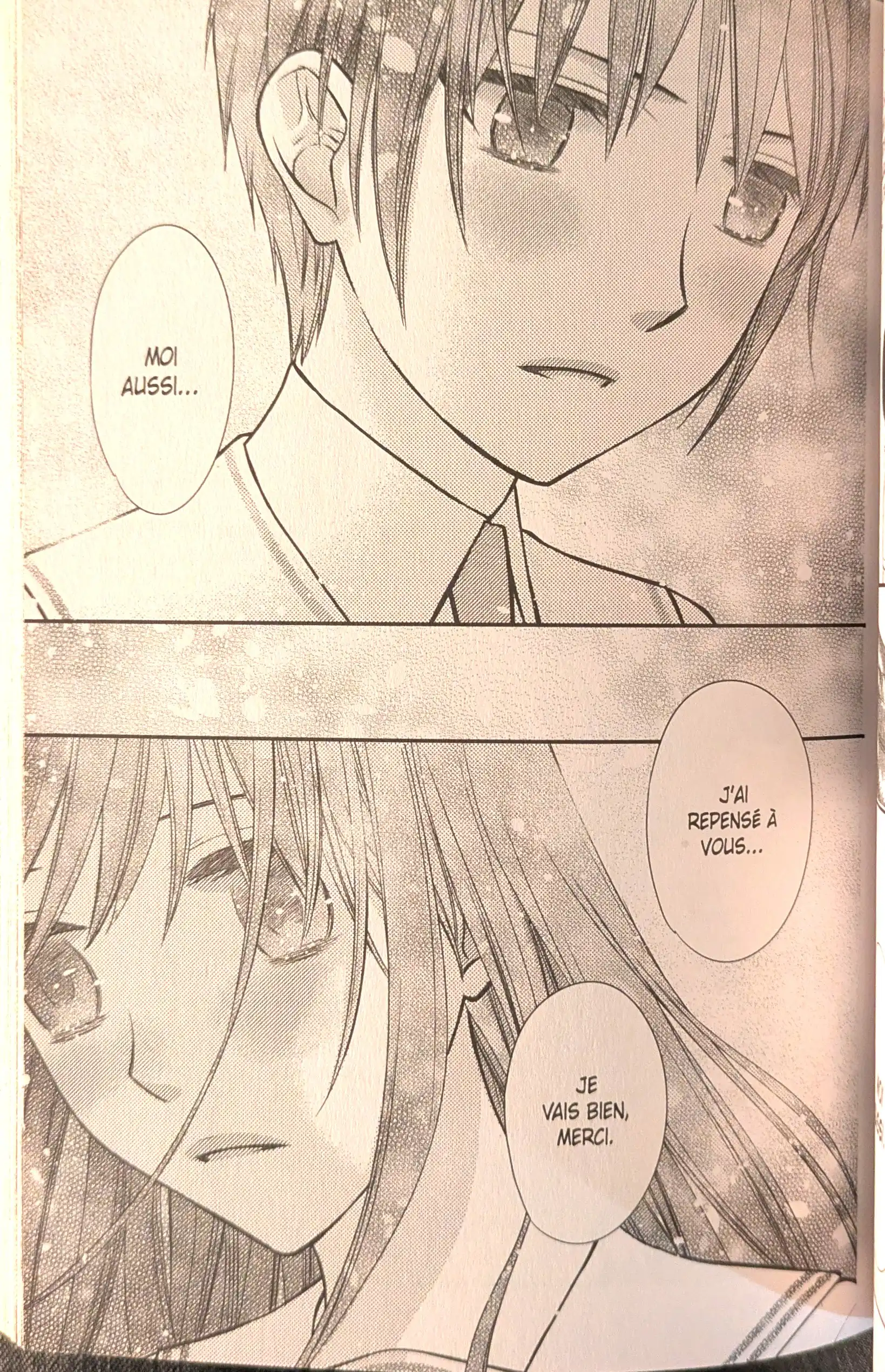 Extrait de Fruits basket another