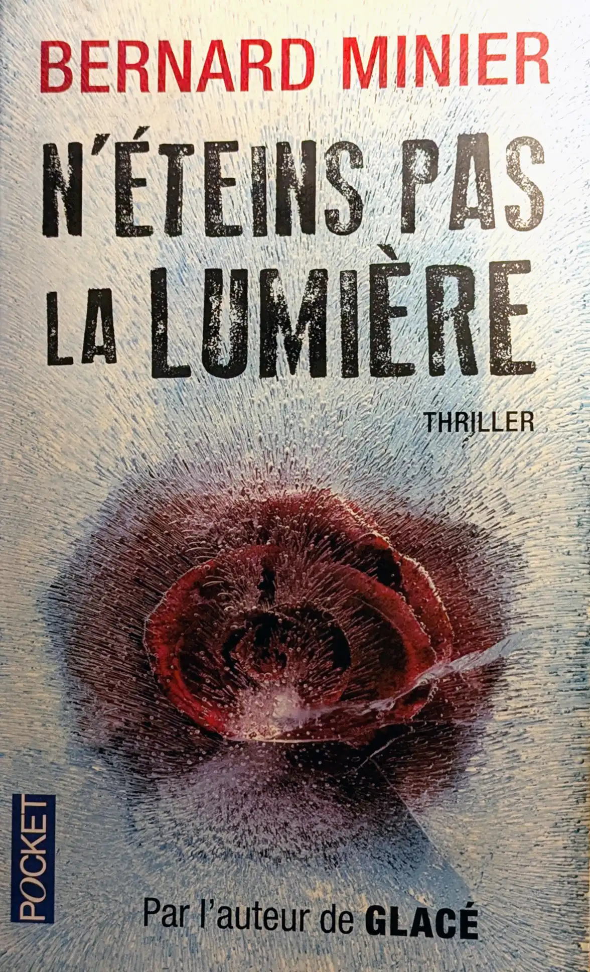 Couverture du thriller de Bernard Minier N'éteins pas la lumière