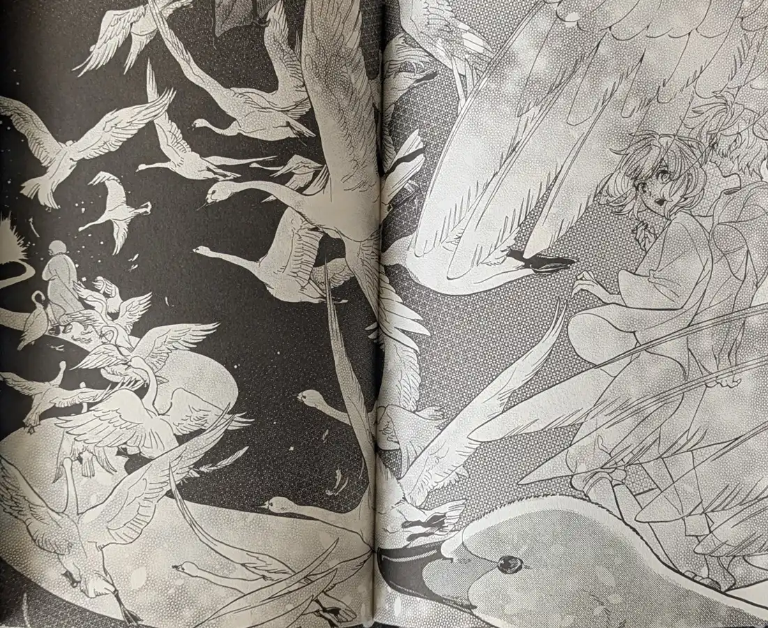 Hani montre à Mika le chemin que tressent les cygnes